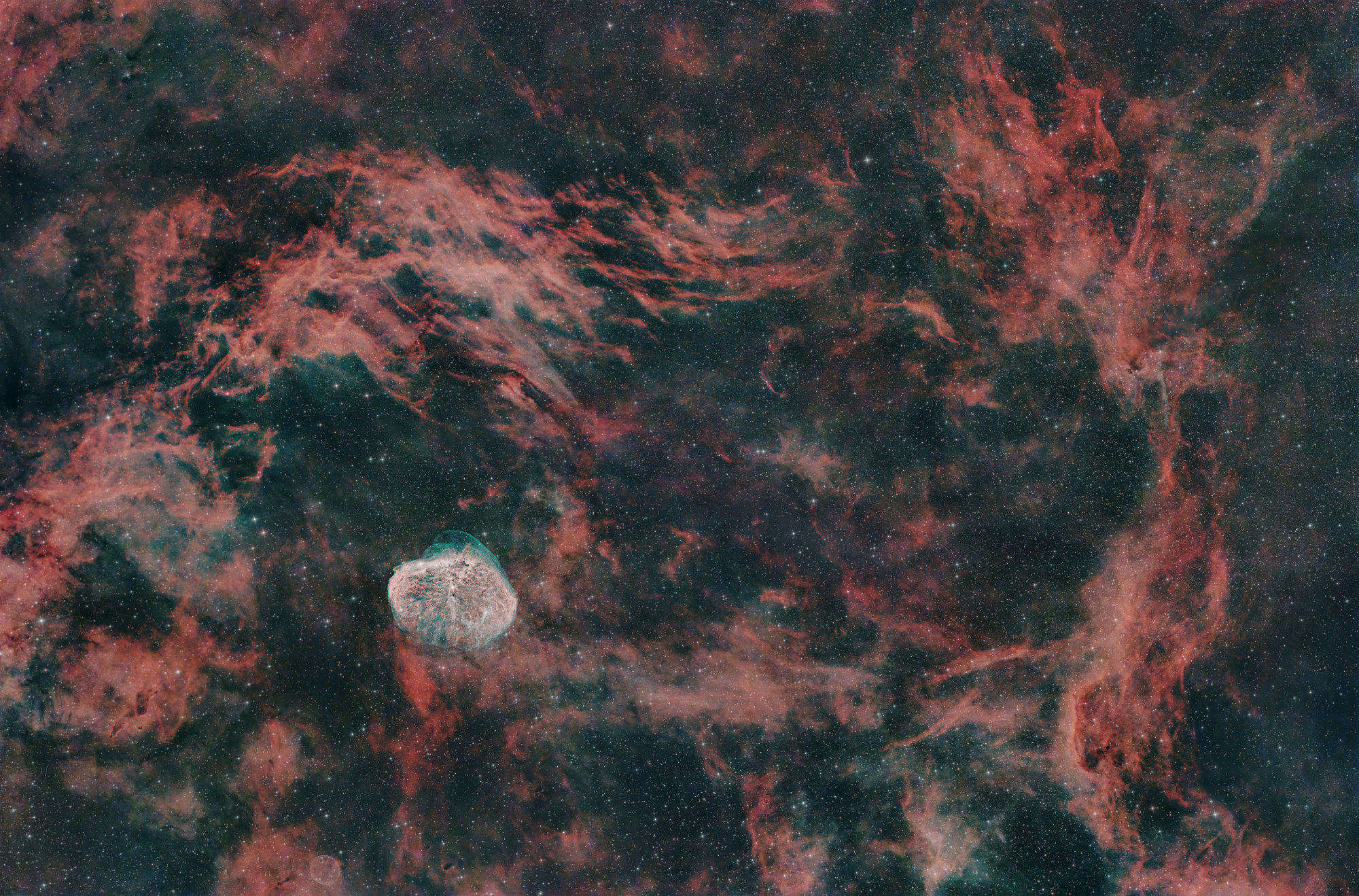 Der Mondsichelnebel NGC 6888 ist ein spezieller Emissionsnebel im Sternbild Schwan, der von einem Wolf-Rayet-Stern in der Mitte des Nebels zum Leuchten angeregt wird.